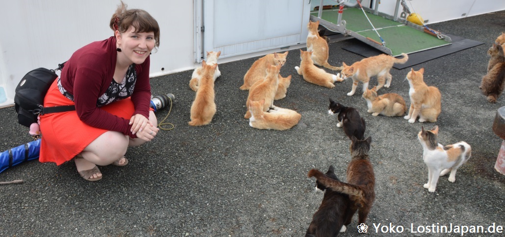 [Japan Juli 2015] Tag 05 – Die Katzeninsel Aoshima