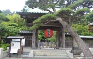 Kamakura Hasedera
