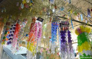 Hashimoto Tanabata