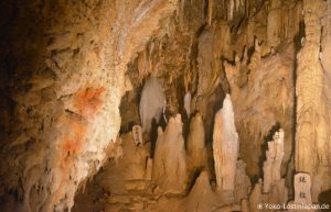 Okinawa World Gyokusendo Cave