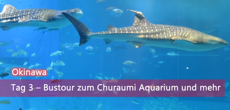 [Okinawa] Tag 3 – Bustour zum Churaumi Aquarium und mehr