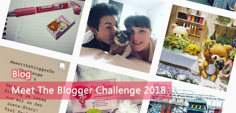 [Blog] Meet The Blogger Challenge 2018