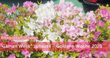 “Gaman Week” zuhause – Goldene Woche 2020 | Alltagsleben Gaman Week