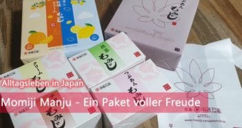 Momiji Manju – Ein Paket voller Freude | Alltagsleben Momiji Manju